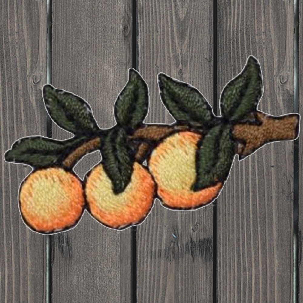 embroidered iron on sew on patch oranges branch